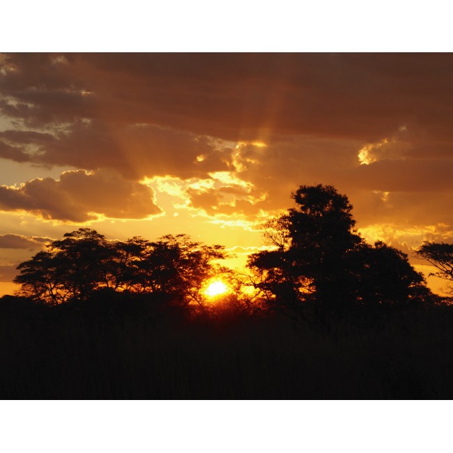 Áttörő napsugarak