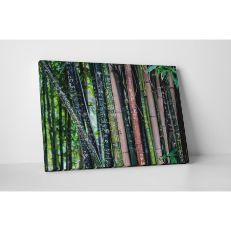 Fába vésett emlékek