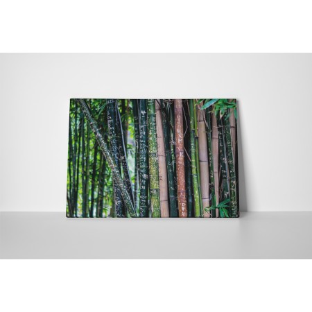 Fába vésett emlékek