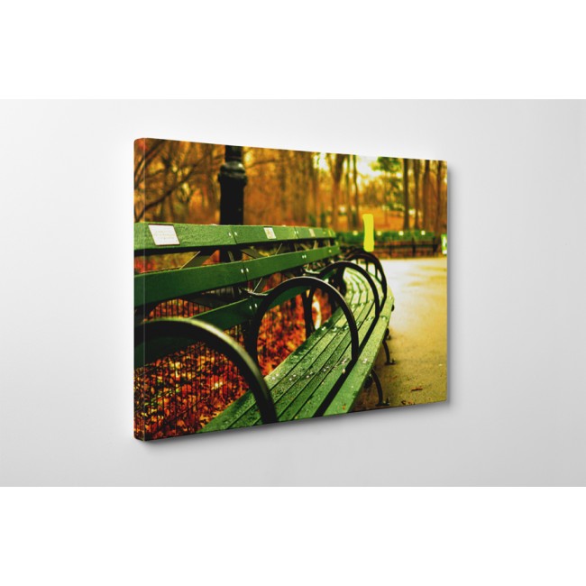 Őszi délután a parkban