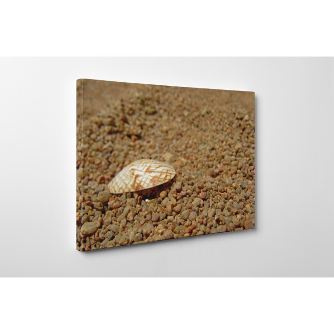 Kagyló és kavicsok