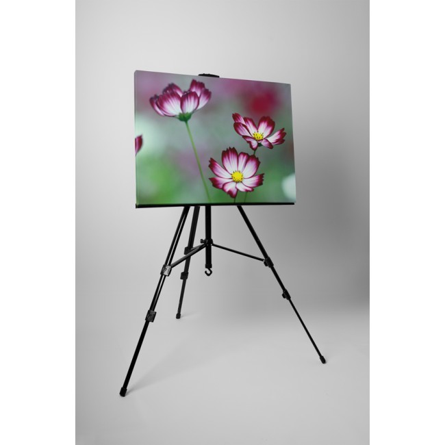 Spirituális virágok