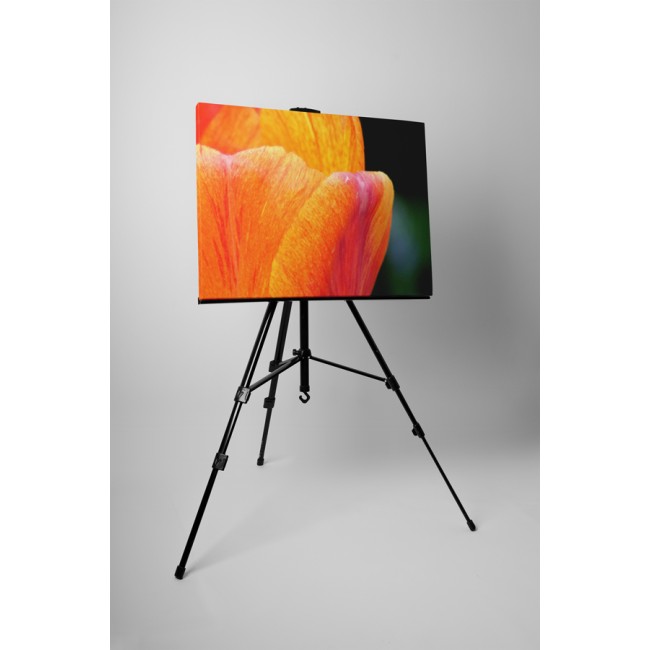 Tulipán virág közelről