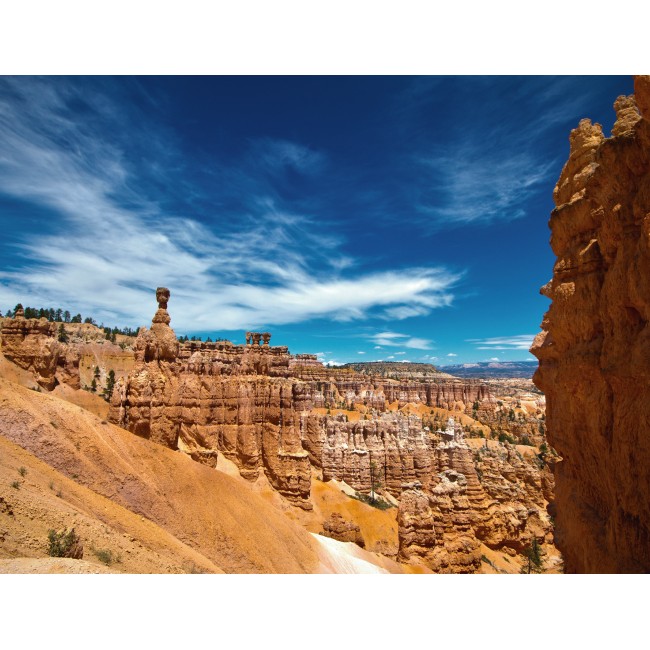 Kőbe vésett történelem