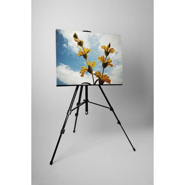 Sárga látnokzsálya