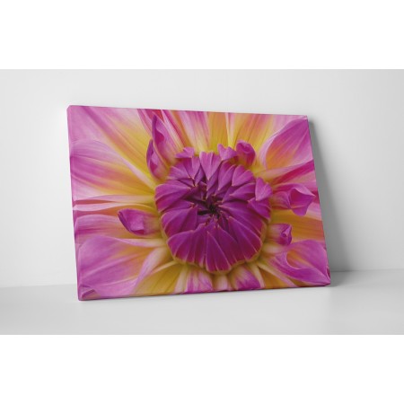 Gyönyörű virágbimbó