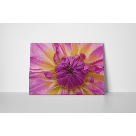 Gyönyörű virágbimbó