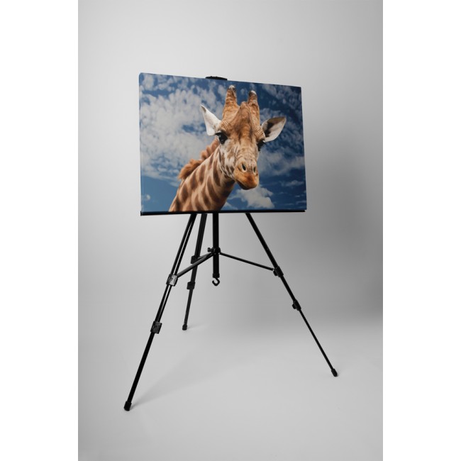 Egekig érő zsiráf