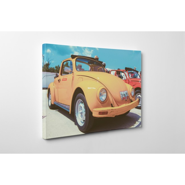 Kicsi narancs színű bogár