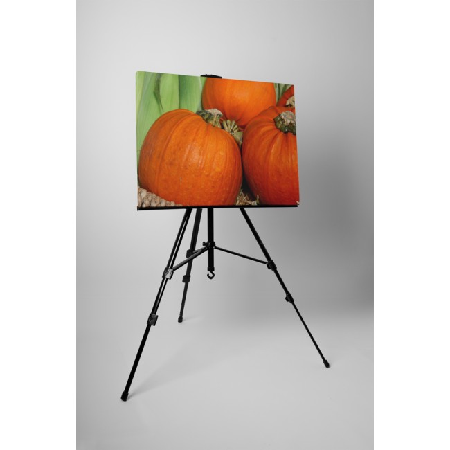 Hatalmas sütőtök család