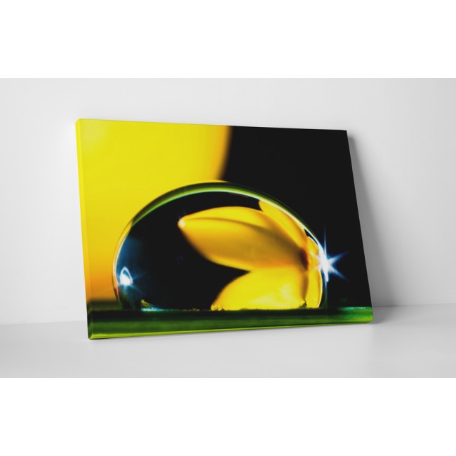 Virág tükröződése