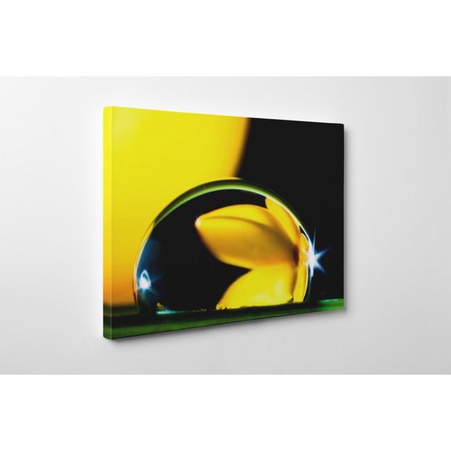 Virág tükröződése