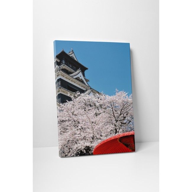 Sakura virágzás tavasszal