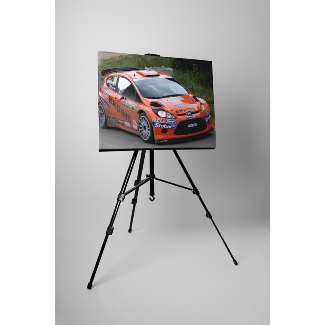 Ford Fiesta rally autó