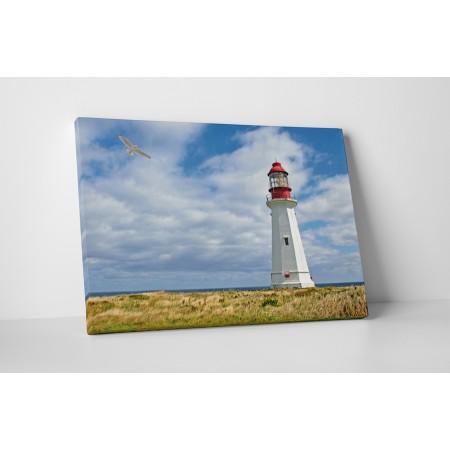 Sirály és világítótorony