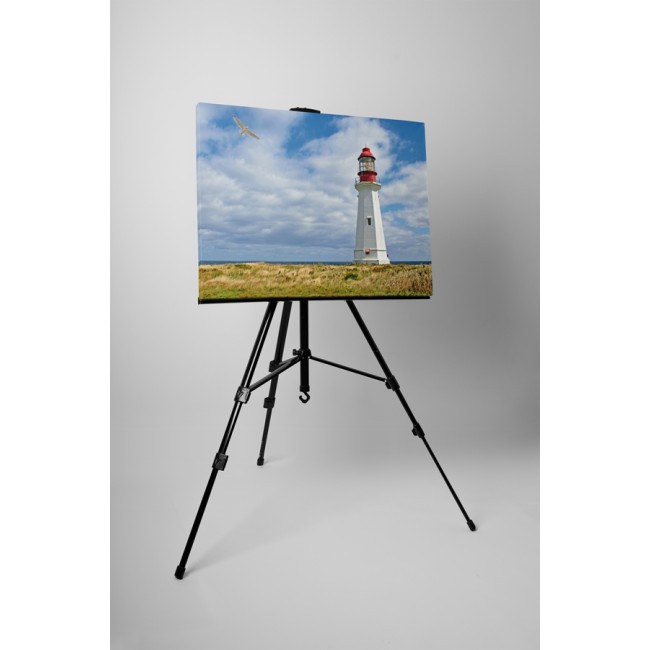 Sirály és világítótorony