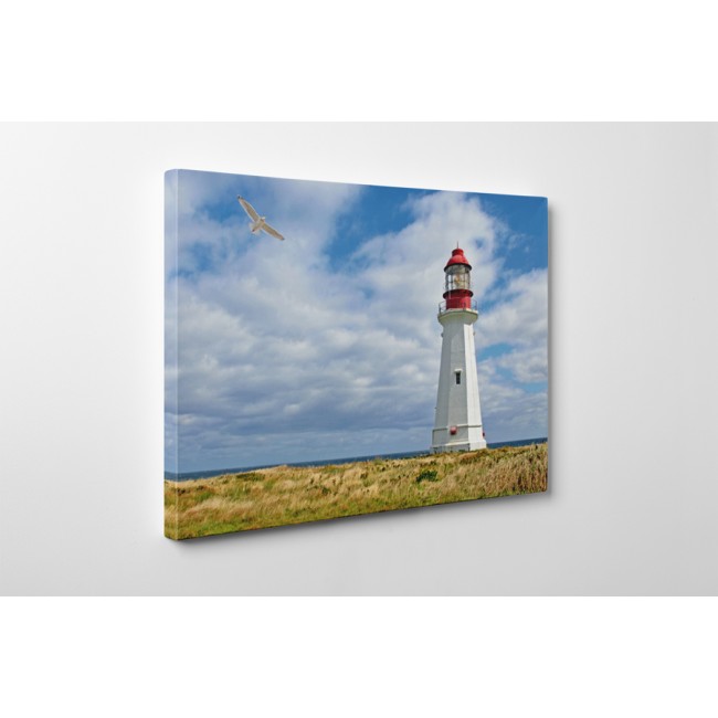 Sirály és világítótorony