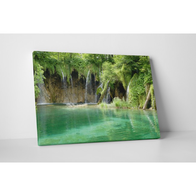 Csoda a természetben