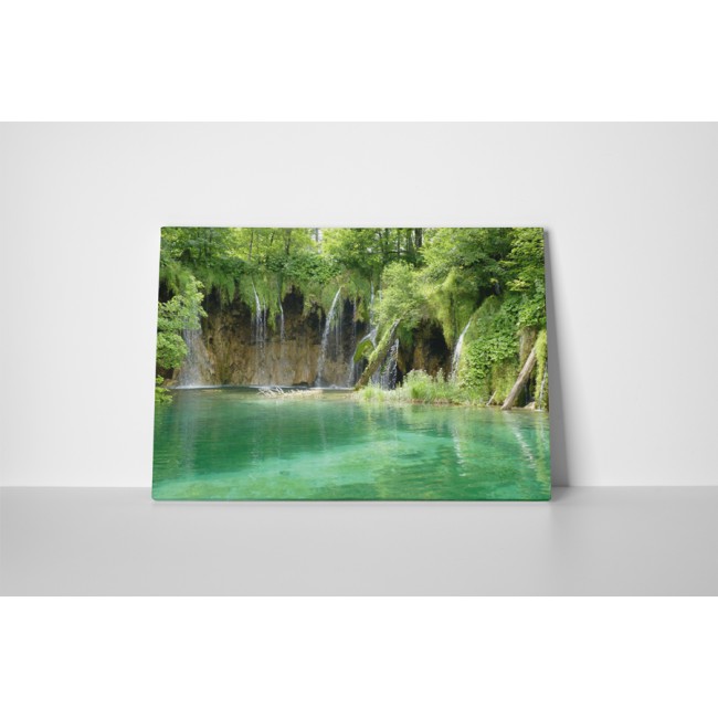 Csoda a természetben