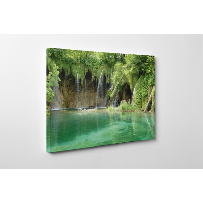 Csoda a természetben