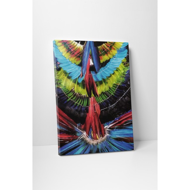 Díszes tollak minden színben