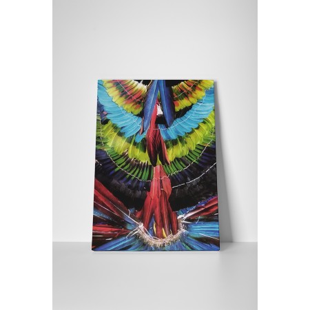 Díszes tollak minden színben