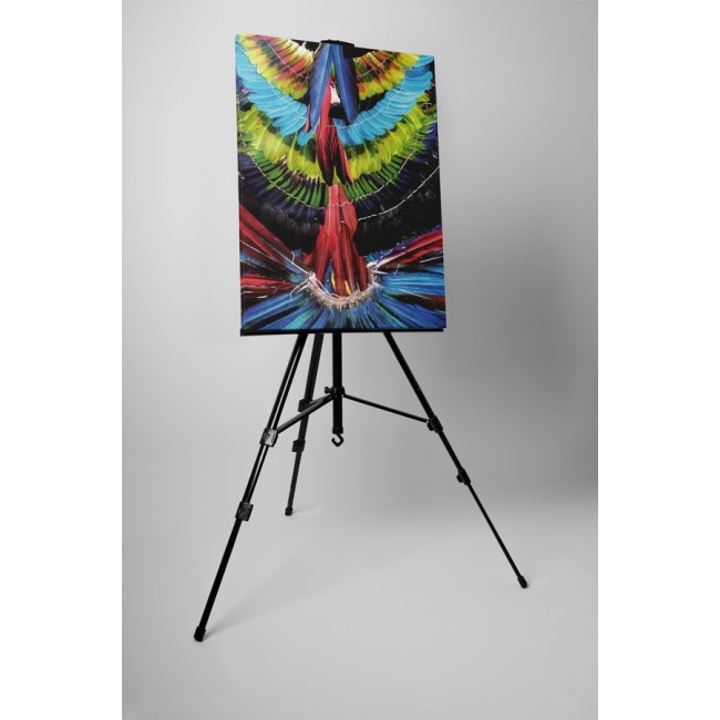 Díszes tollak minden színben