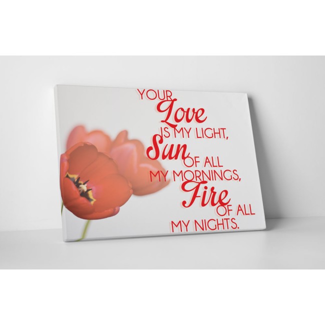 Your Love is My Light