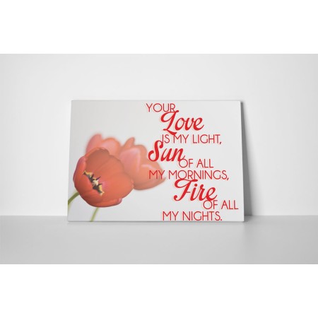 Your Love is My Light