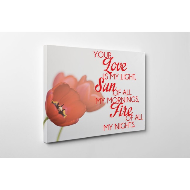 Your Love is My Light