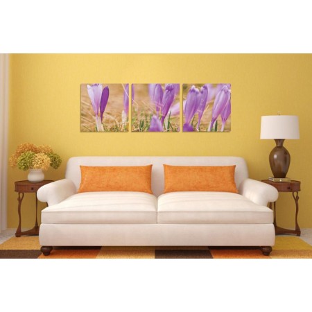 Többrészes vászonkép - Krókusz virágok