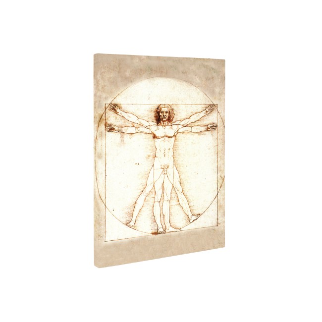 Vitruvián ember - 50x70 - Vászonkép