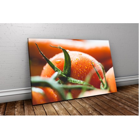 Frissen szedett paradicsom