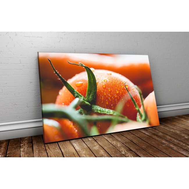 Frissen szedett paradicsom