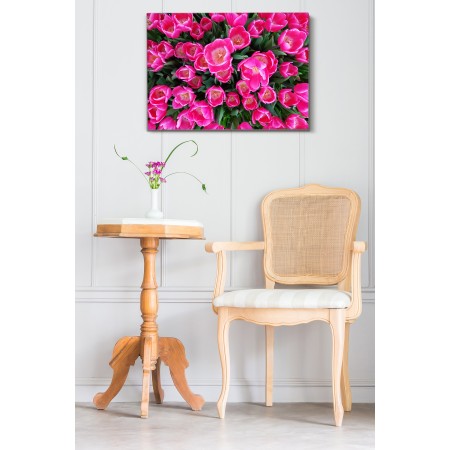 Rózsaszín tulipánok