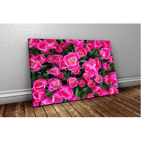 Rózsaszín tulipánok