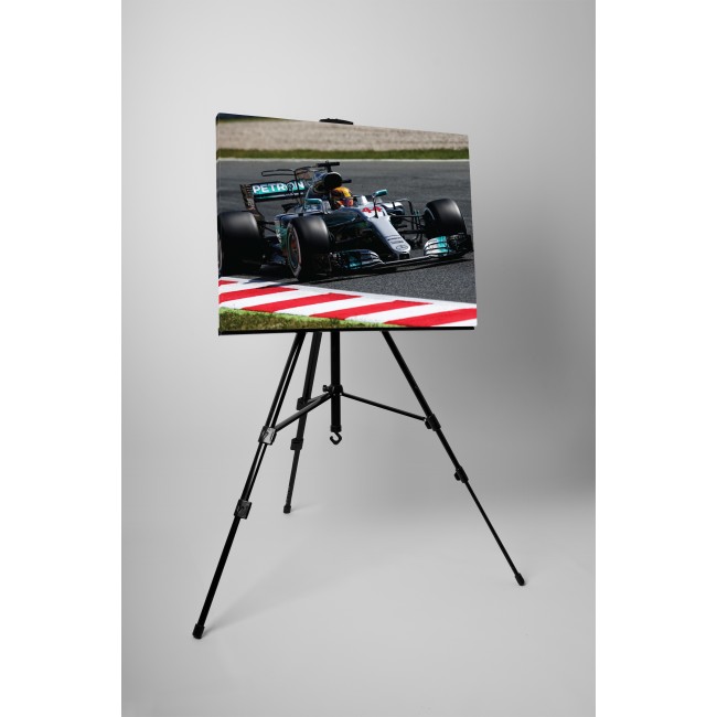 F1 Mercedes Lewis Hamilton