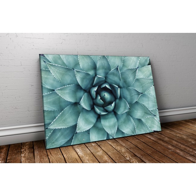 Kövirózsa - 75x50 - Vászonkép