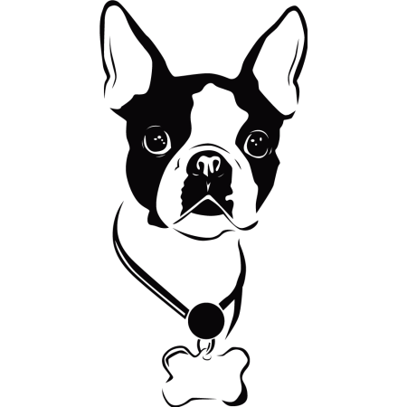 Kölyök kutya - Falmatrica / Faltetoválás