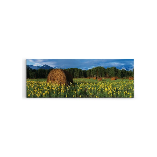 Mező - Panoráma vászonkép