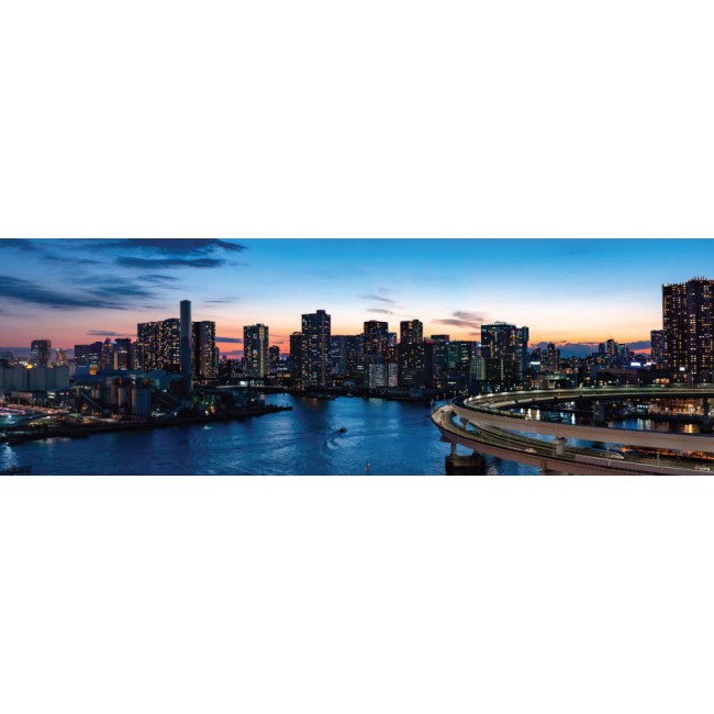 Tokyo - Panoráma vászonkép