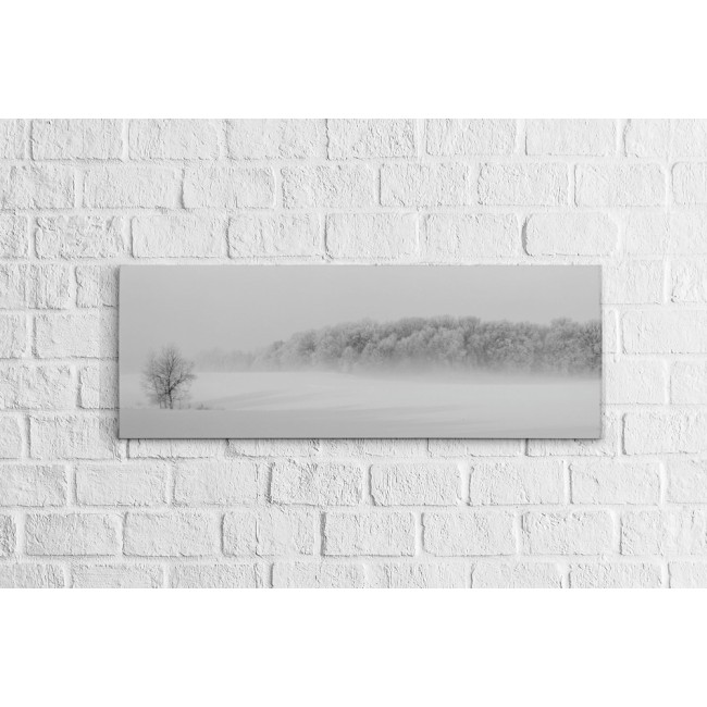 Téli erdő - Panoráma vászonkép