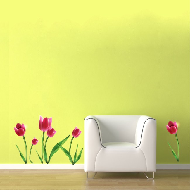 Tulipán csomag