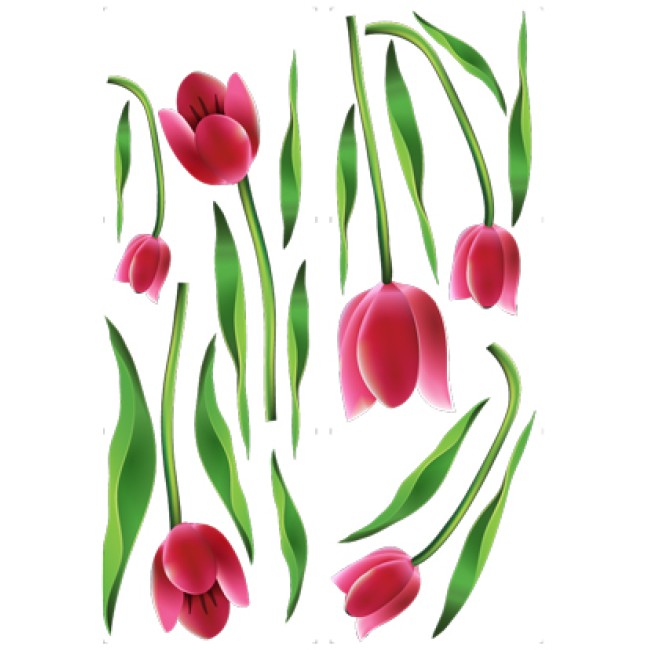 Tulipán csomag