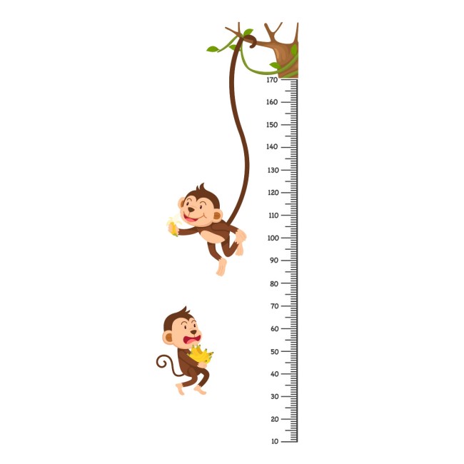 Majmos mérőszalag - Színes Matrica