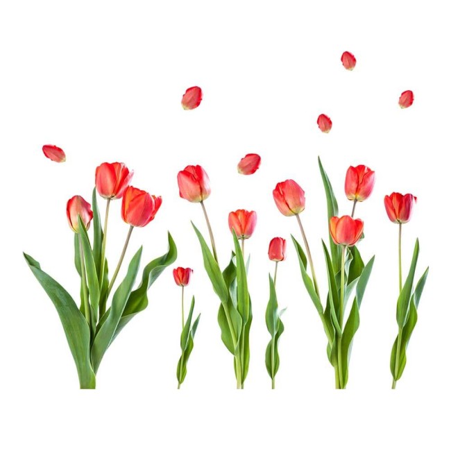 Gyönyörű tulipánjaim - Nyomtatott matrica