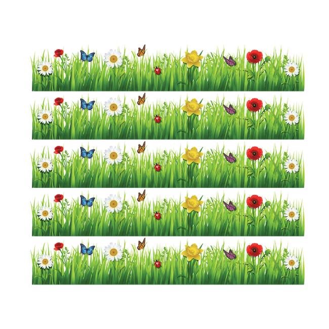 Virágok és katicabogarak - Nyomtatott bordűr matrica