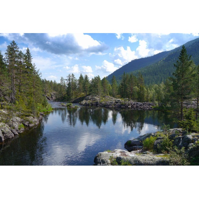  Gyönyörű erdei patak - Nyomtatott poszter