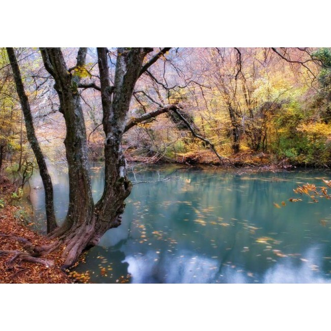 A természet szépsége - Nyomtatott poszter