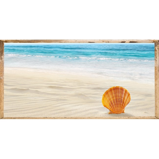 Gyönyörű kagyló - Nyomtatott poszter 